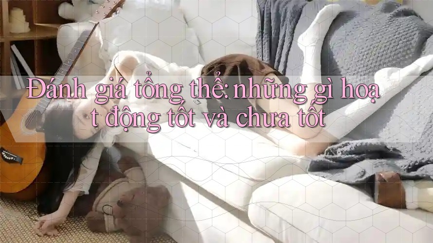 Đánh giá tổng thể: những gì hoạt động tốt và chưa tốt Đánh giá tổng thể: những gì hoạt động tốt và chưa tốt