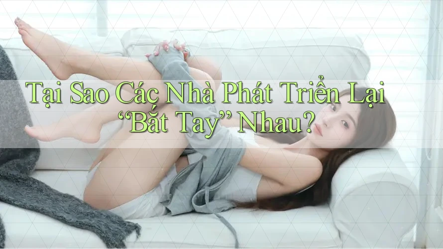 Tại Sao Các Nhà Phát Triển Lại “Bắt Tay” Nhau?