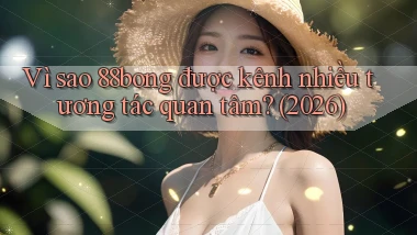 Vì sao 88bong được kênh nhiều tương tác quan tâm (2026)